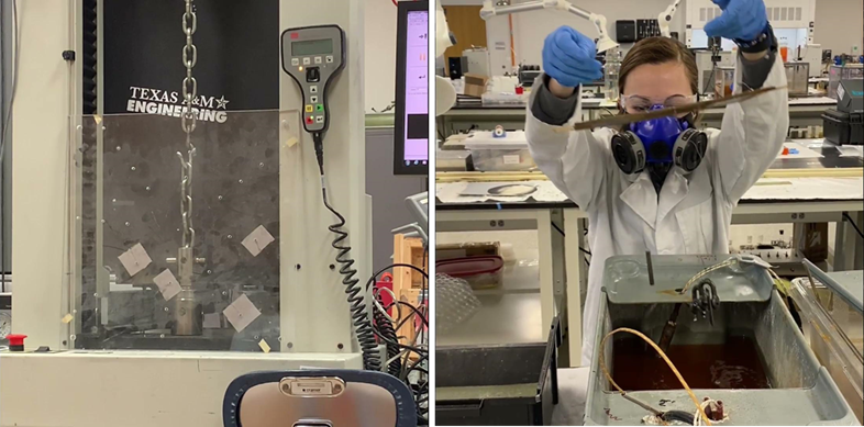 A student lifts a sample up to inspect it in the lab