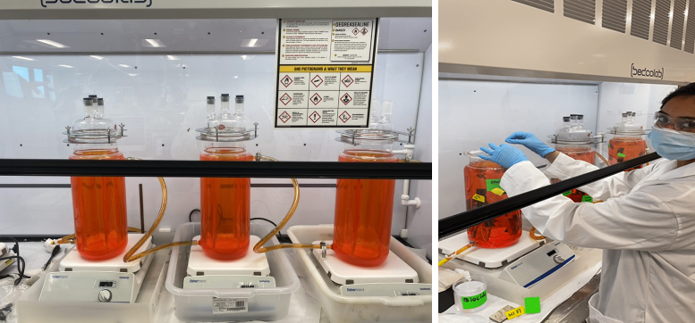 A student adjust glass containers filled with liquid under a fume vent in the lab