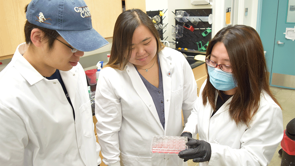 孙博士在实验室和学生们在一起